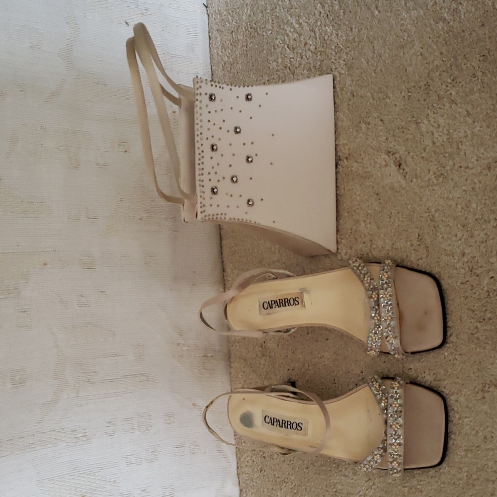 Women's Dress Shoe and purse